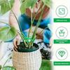 12pc Plants Stem Support Plant Anti-Toppling Support Holder Vine Flower Fixed Trellis Adjustable Gardening Aid Fixation Device