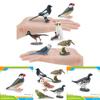 Bird Animal Model With Plastic Material For Home Decor And Collecting