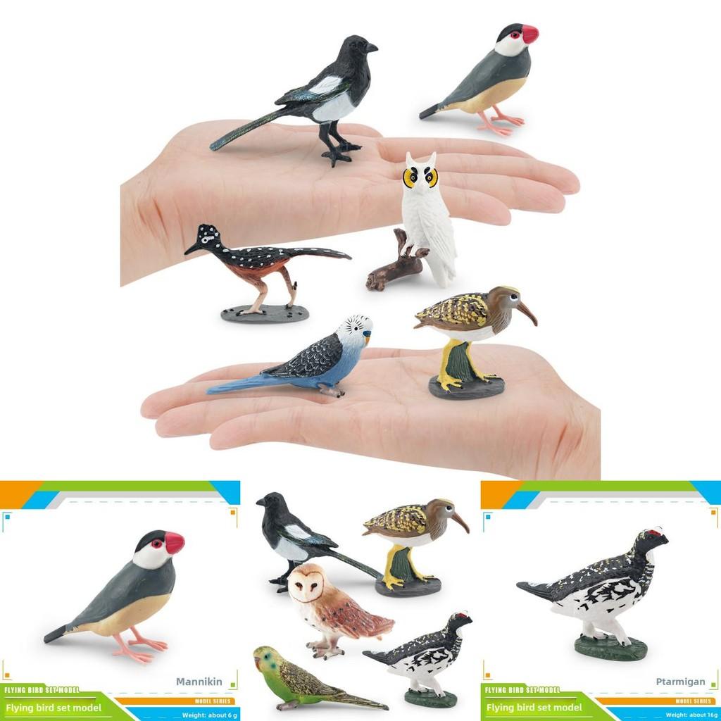Bird Animal Model With Plastic Material For Home Decor And Collecting