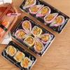 10Pcs Thickened Sushi Boxes with Lids Eco-Friendly Disposable Food Containers for Takeout Carry-Out Meals