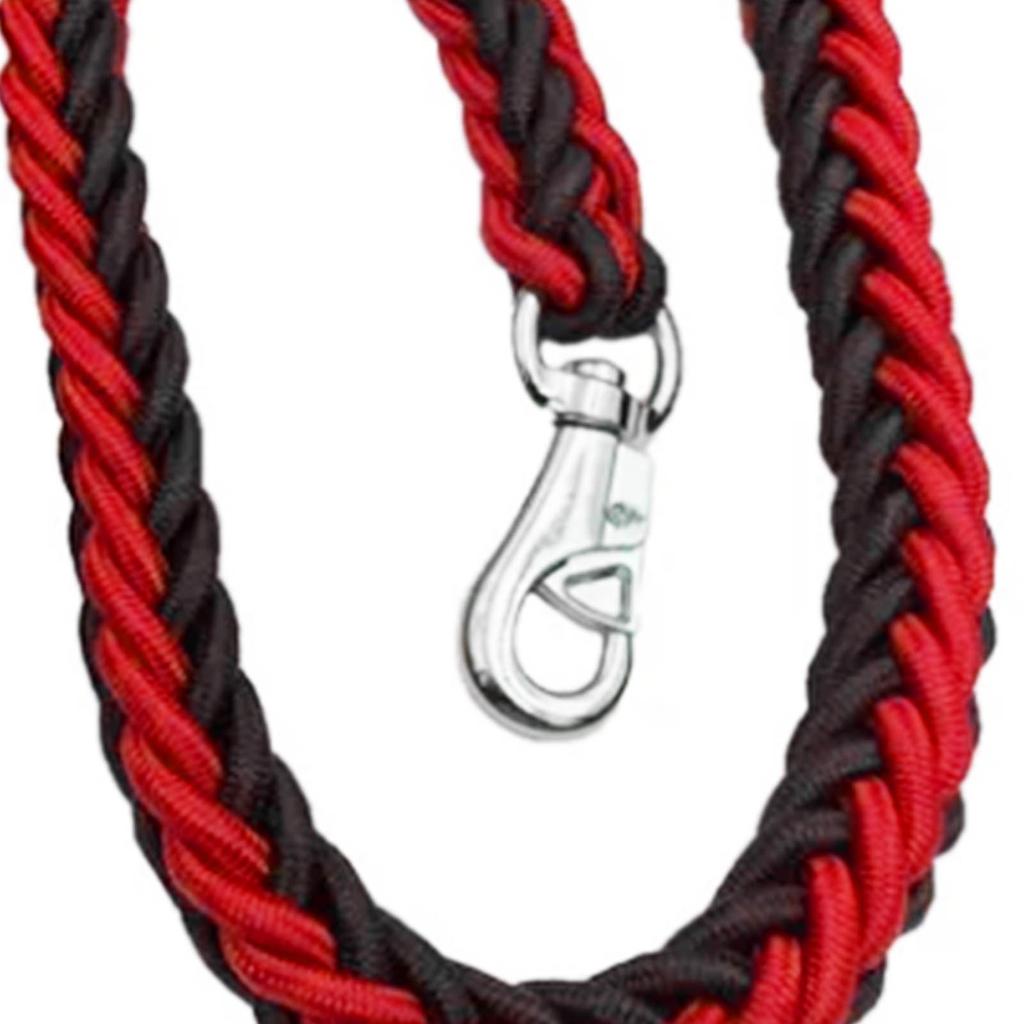 Dog Leash Heavy Duty Thickened Bite Resistant Nylon Pet Traction Leash for Medium Dog Walking