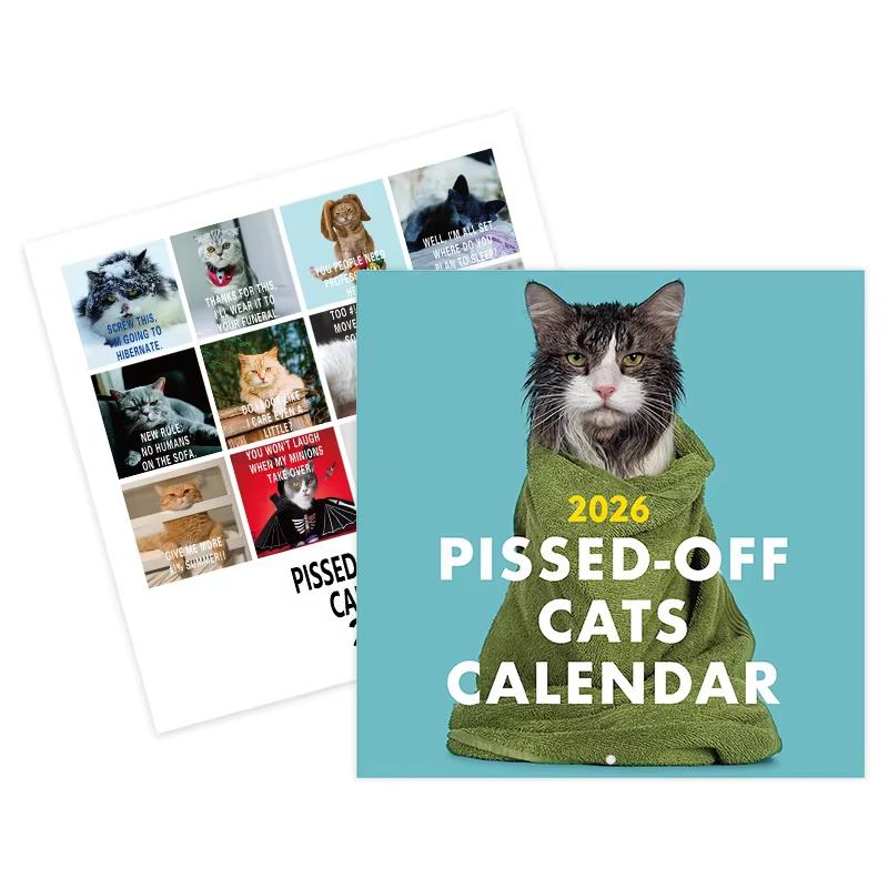 2026 Pissed-off Cats Wall Calendar Living Room Bedroom Hanging Decoration Grid Cats Color Inside Pages Monthly Planner