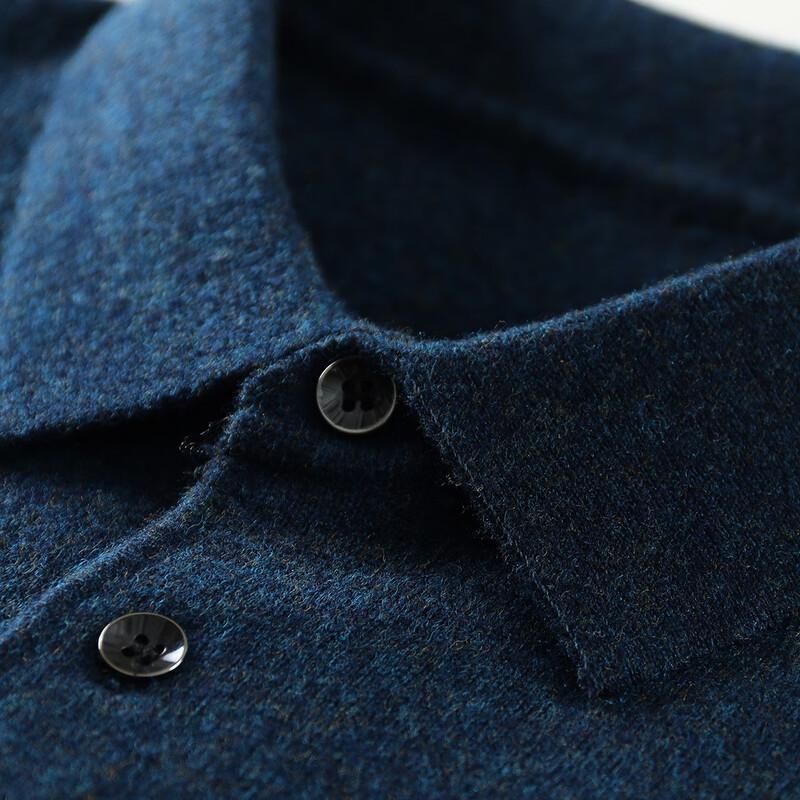 Antonio Men's Merino Wool Polo Sweater