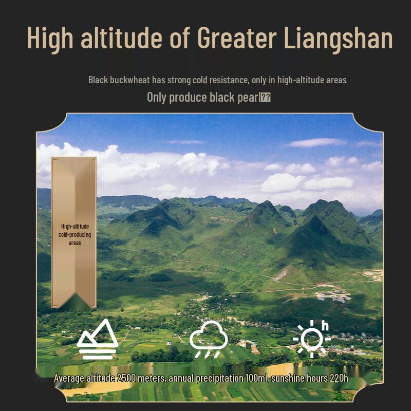 Daliangshan Black Tartary Buckwheat Health Tea