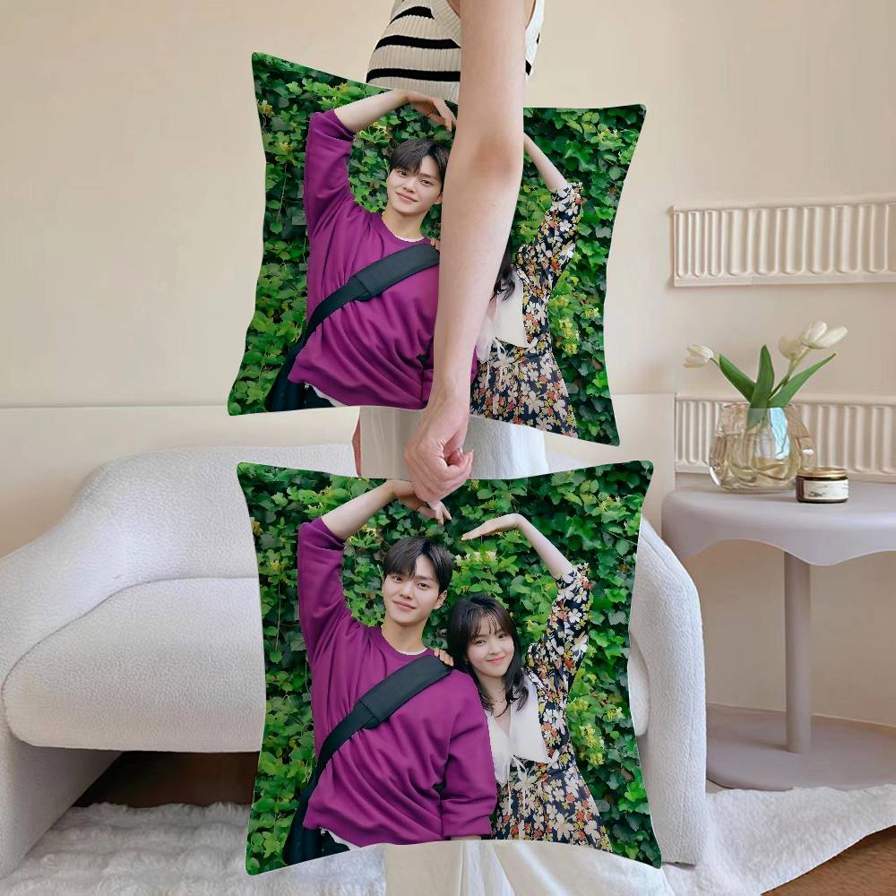 N-Dennoch Kissenbezug Sofa und Wohnzimmer Dekorative Kissenbezüge Staubdicht und Milbendicht Unsichtbarer Reißverschluss