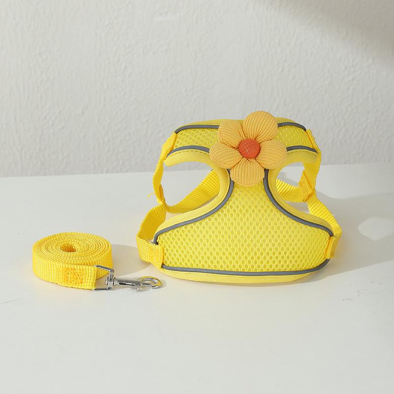 Small Dog Harness and Leash Set - Vest-Style for Teddy, Bichon, and Other Small Breeds