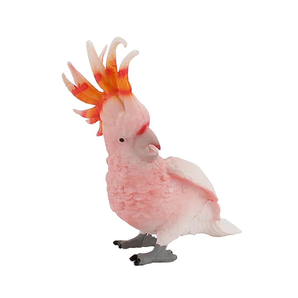 Bird Static Macaws Parrot Model Figurines For Collection Educational&Decoration