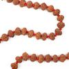 10 Mukhi Indonesian Rudraksha Mala 108+1 Beads |Spiritual Healing Necklace| Meditation Yoga Mala |Authentic Rudraksha Mala for Men & Women