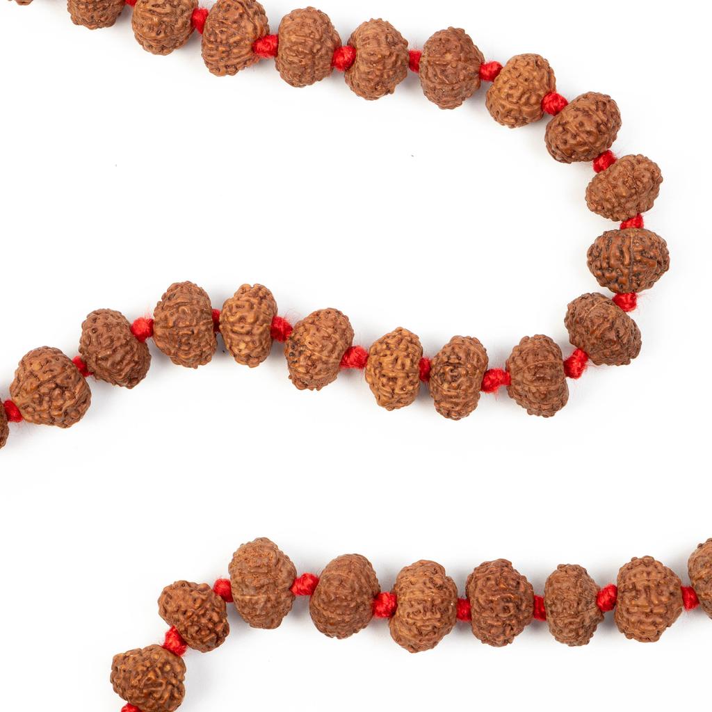 10 Mukhi Indonesian Rudraksha Mala 108+1 Beads |Spiritual Healing Necklace| Meditation Yoga Mala |Authentic Rudraksha Mala for Men & Women