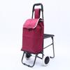 Outdoor Folding Shopping Cart