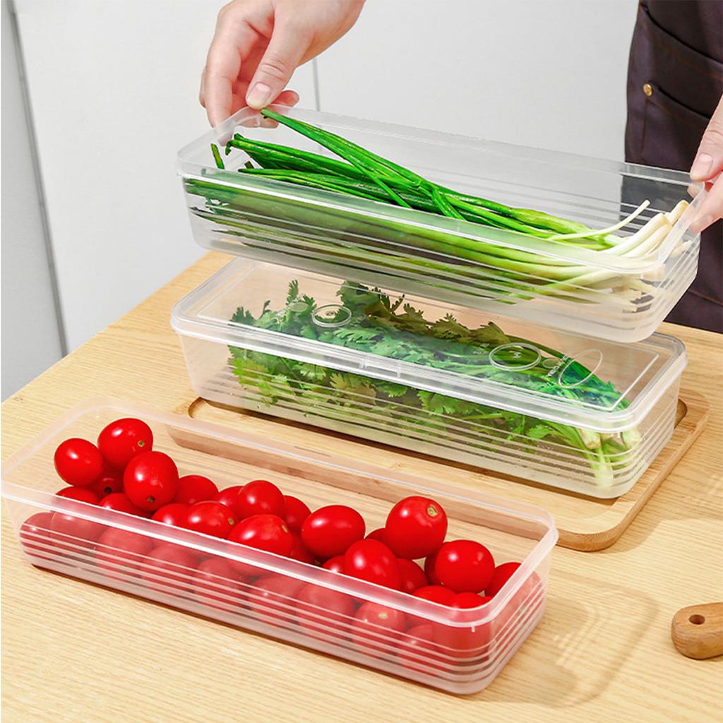 Thickened Refrigerator Storage Container for Freshing Herbs Scallions Noodles Eggs Kitchen Organizers With Airtights Lid