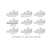 Nike Court Borough Einkaufstasche Paar Rutschfest Abriebfest Niedrige Skateboard-Schuhe Damen Blau Beige IQ2725-101(Team2363-S-BOX)