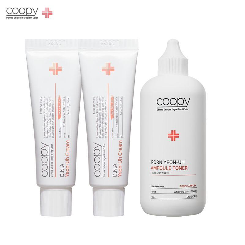 DNA Salmon Cream 50ml x 2 + PDRN Salmon Ampoule Toner 300ml x 1