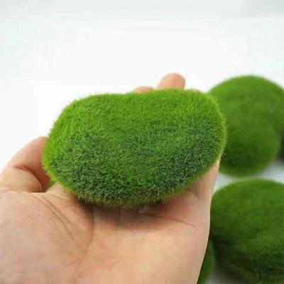 Ev Dekoru – Dekoratif Terraryumlar