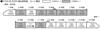 KATO N Gauge N700 Series 2000 Series 8-car Extension Set 10-1818 Railway Model Train