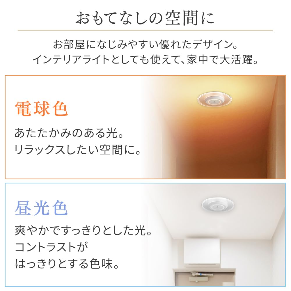 Iris Ohyama Small Ceiling Light with Light Guide Plate, 1500lm, Daylight White, SCL-150D-LGP