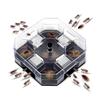 5pcs Safe Non-Toxic Cockroach Bait Station Chemical-Free Cockroach Trap Pest Control