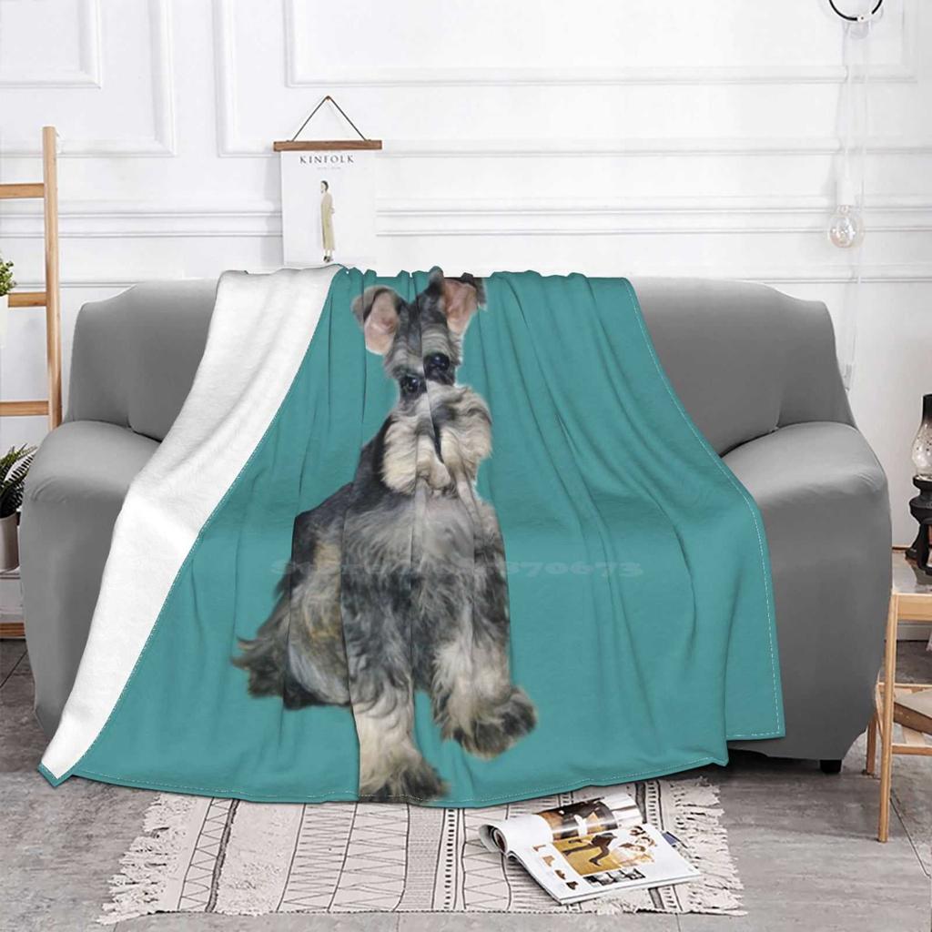 Schnauzer-Miniature ( #3 ) Top Quality Comfortable Bed Sofa Soft Blanket Schnauzer Art Just The Schnauzer Puppy Jean B Dogs Dog