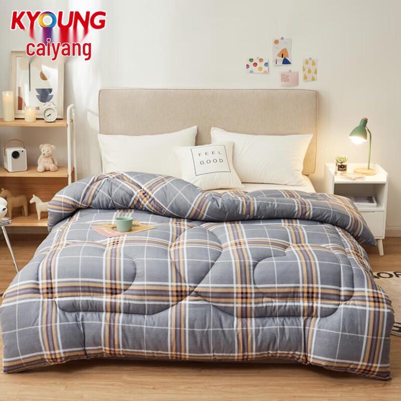 

Printed Brushed Feather Velvet Thin Quilt