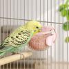 Durable Hanging Bird Food Bowl Wide Mouth Anti Spill Bird Feeder Cup Removable Parrot Water Bowl Pet Shop