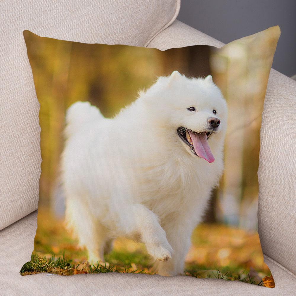 50 Stil Husă de Pernă Câine Alb Drăguț Samoyed Decor Husă de Pernă Animal de Companie Iubitor Husă de Pernă Moale de Pluș pentru Canapé Cameră Copii