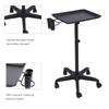 Aluminium Hair Salon Instrument Tray Adjustable Height Trolley Beauty Tools
