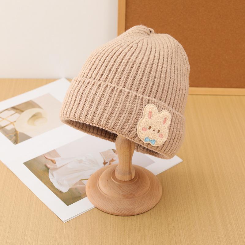 Korean Style Autumn and Winter Label Rabbit Woolen Hat for Women with Velvet and Thickening To Keep Warm Fashionable Knitted Hat Cold Hat