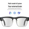 MiGO Smart AI Translation Glasses