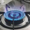 Kitchen Cooking High Fire Stove Stainless Steel Panel Embedded Gas Stove New Household Dual Stove Gas Cooker