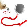 Cat Interactive Ball Toy Automatic Rolling Cat Ball Rechargeable Smart Kitten Interactive Toy Intelligent Balls Toy for Cat