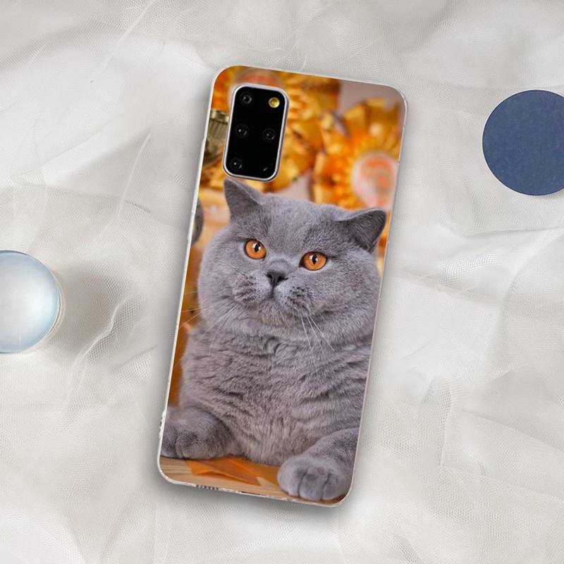 British Shorthair cat Phone Case for Samsung S21 A10 for Redmi Note 7 9 for Huawei P30Pro Honor 8X 10i cover