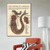 Vintage The Anatomy Of Mermaid Harpy Gorgon Poster Print Canvas Painting Mysterious Creature Wall Art Room Home Decor Cuadros
