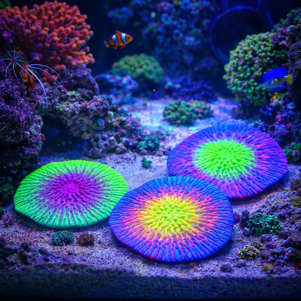 Decorative Realistic Silicone Coral Plant Fluorescence Colorful Luminous Coral Non-Toxic Simulation Coral Aquarium Decoration
