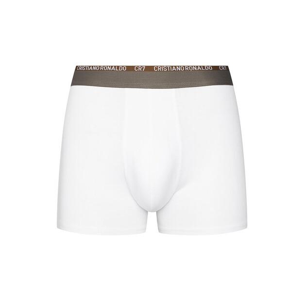 Cuecas Cristiano Ronaldo CR7 8100-49