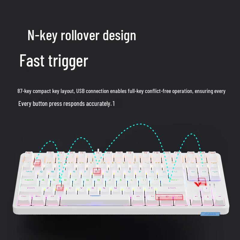 Rapoo V500PRO-87 Upgrade 87-Key Wired Backlit Mechanical Keyboard