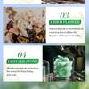Plant Essential Oil Set 10ml Each Natural Fragrance Therapy Aromatherapy Body Oil Spa Massage Gift Set Export Wholesale