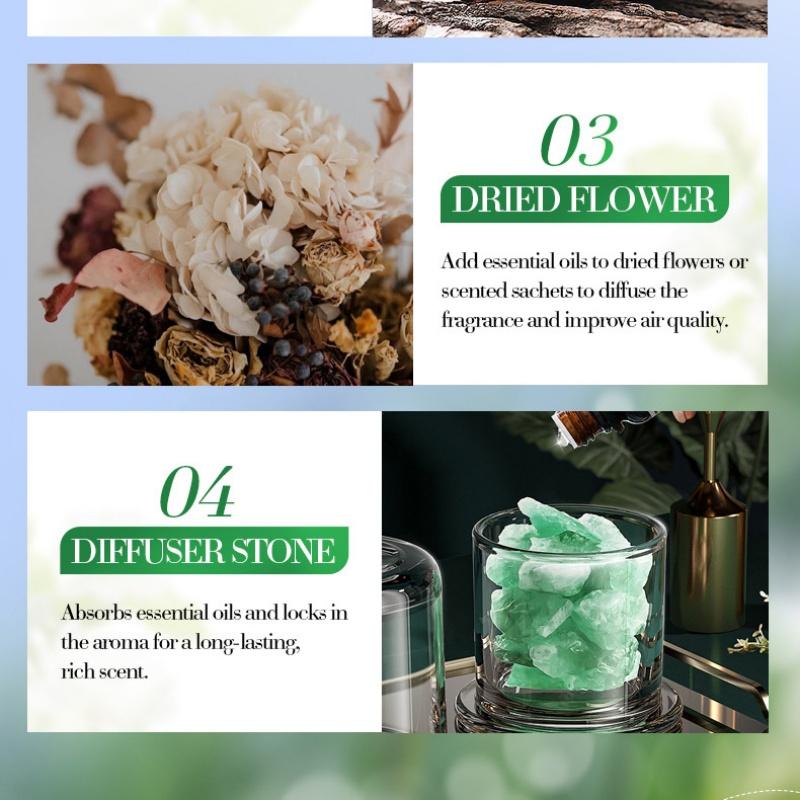 Plant Essential Oil Set 10ml Each Natural Fragrance Therapy Aromatherapy Body Oil Spa Massage Gift Set Export Wholesale