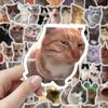 100 Pcs Cute Cat Stickers for Kids Boys Girls Waterproof Cat Meme Decals for Laptop Skateboard Luggage Car Bumper Water Bottle Decor