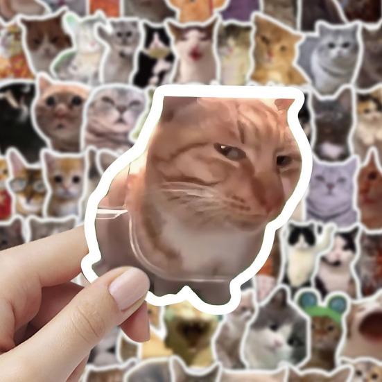 100 Pcs Cute Cat Stickers for Kids Boys Girls Waterproof Cat Meme Decals for Laptop Skateboard Luggage Car Bumper Water Bottle Decor