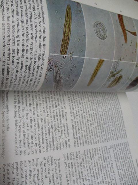 [USED] Hospital disposal book Gastroenterology 7 fourth English book