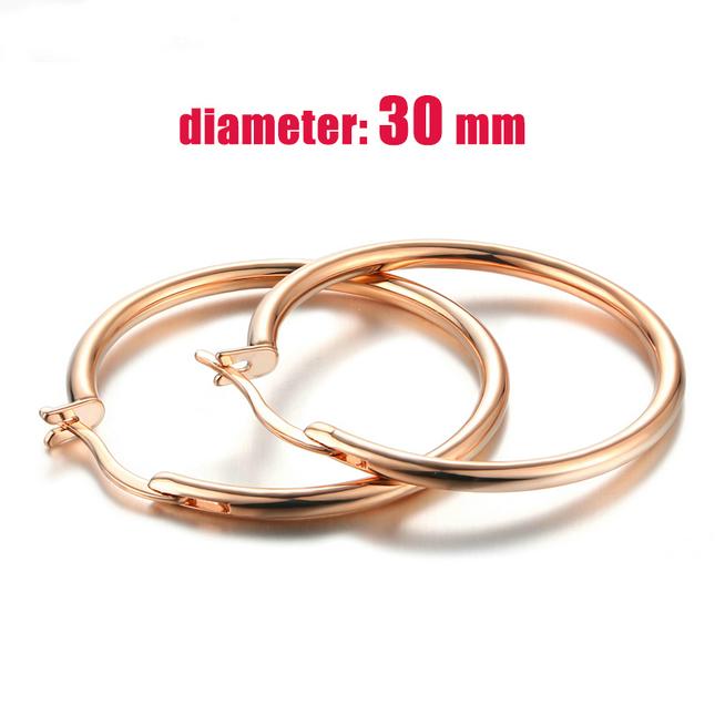 

Big Hoop Earrings For Women Minimalist Circle Classic Cartilage Earring Rose Gold Color Hoops Fashion Jewelry Wholesale E780