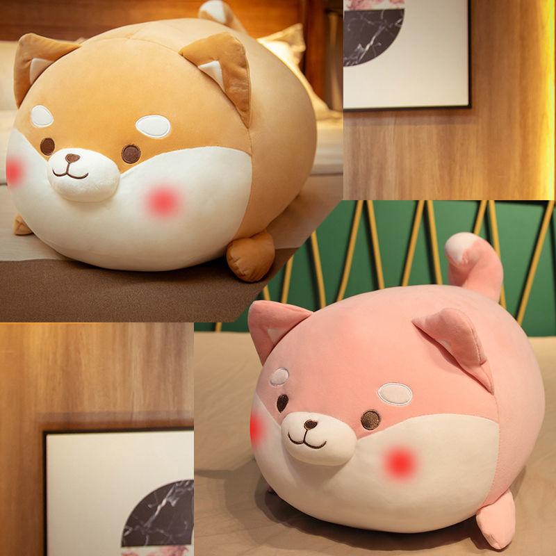 Shiba Inu Rag Doll Girl Birthday Gift on Bed Corgi Few Cute Plush Toys Doll Dog Doll Pillow