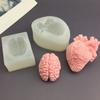 Silicone Brain & Heart Candle Mold Realistic Organ Shape Mold for Epoxy Resin Fondant Soap Easy-Release DIY Craft Mold