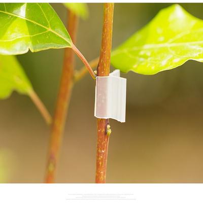 100PCS Plastic Special Grafting Clips Plants Support Tomato Seedling Grafting Clip Garden Greenhouse Vegetables Garden