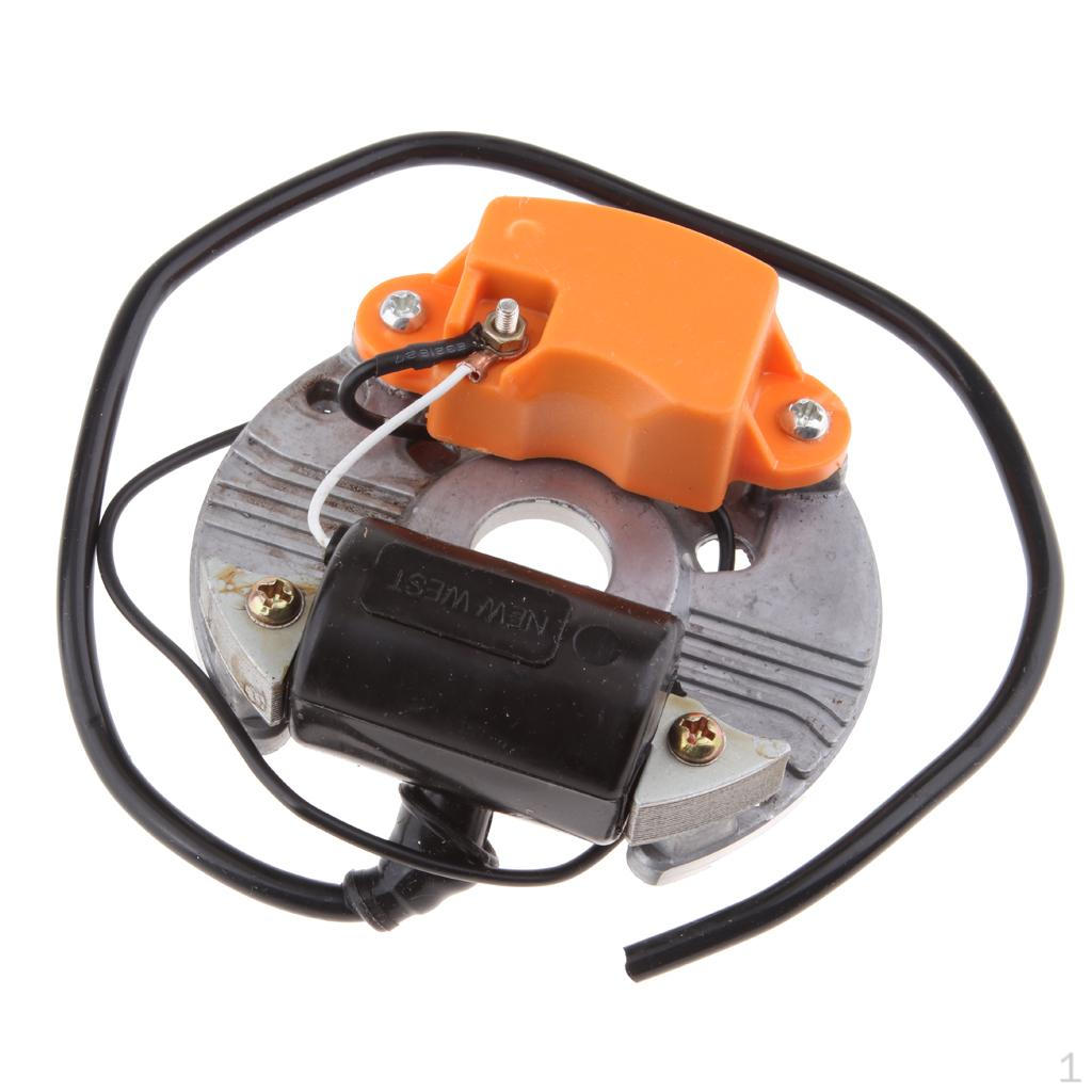 

Универсальная электронная катушка зажигания в сборе 070 090 090G