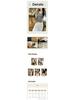 Elegant French Style Long-Sleeve Women's Slim Fit Top - 2026 Autumn/Winter Round Neck Base Layer