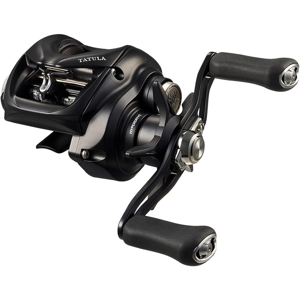 DAIWA (DAIWA) bait reel 24TW 100HL