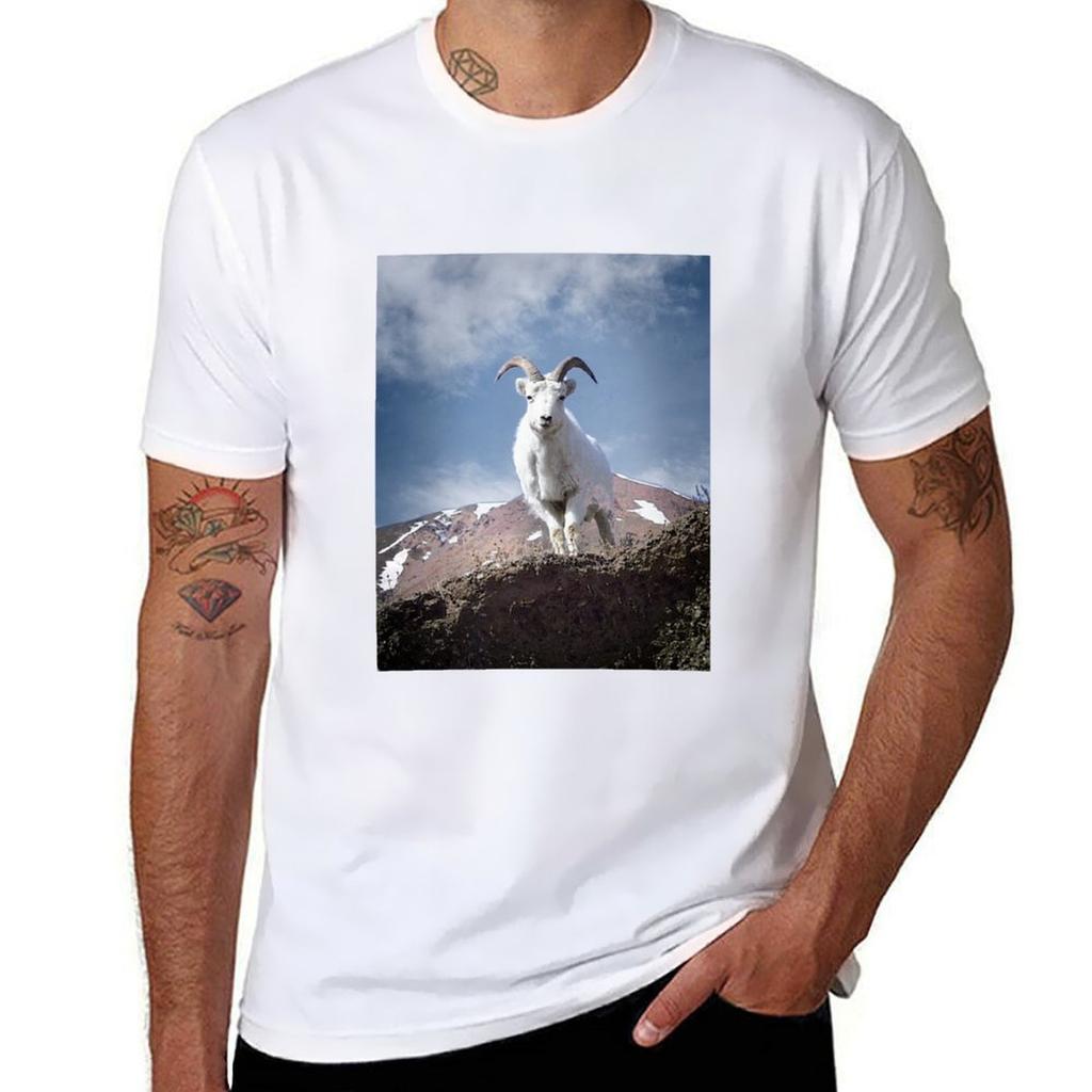Dall Sheep On Sheep Mountain Tshirt Casual Trendy Streetwear Tee Shirt