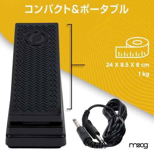 MOOG EP-3 Expression Pedal with Polarity Reverse Switch - Universal Expression Pedal for Keyboards, Synthesizers, and Effects