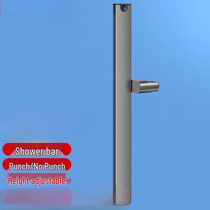 Adjustable Shower Riser and Head Holder